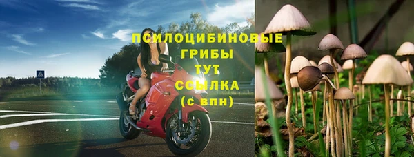 ПСИЛОЦИБИНОВЫЕ ГРИБЫ Тобольск