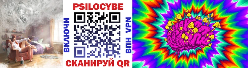 Купить где  Зеленокумск  Галлюциногенные грибы Psilocybine cubensis 